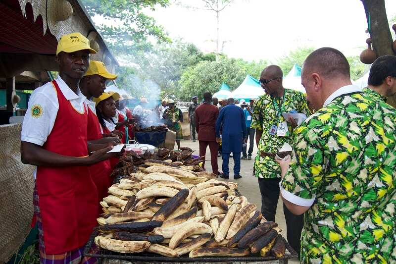 Public private partnership: Oando, NAOC JV boost agriculture in the Niger Delta Public private partnership: Oando, NAOC JV boost agriculture in the Niger Delta