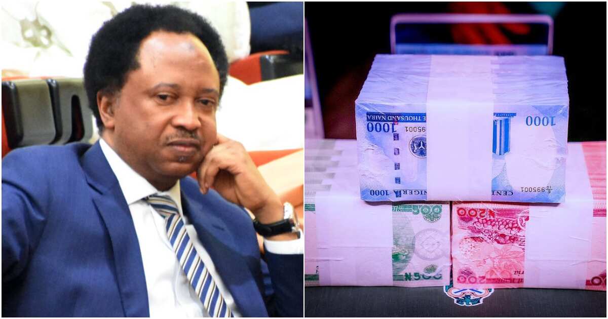 Scarcity Of Naira Shehu Sani Reveals How Bankers Should Dress To Avoid