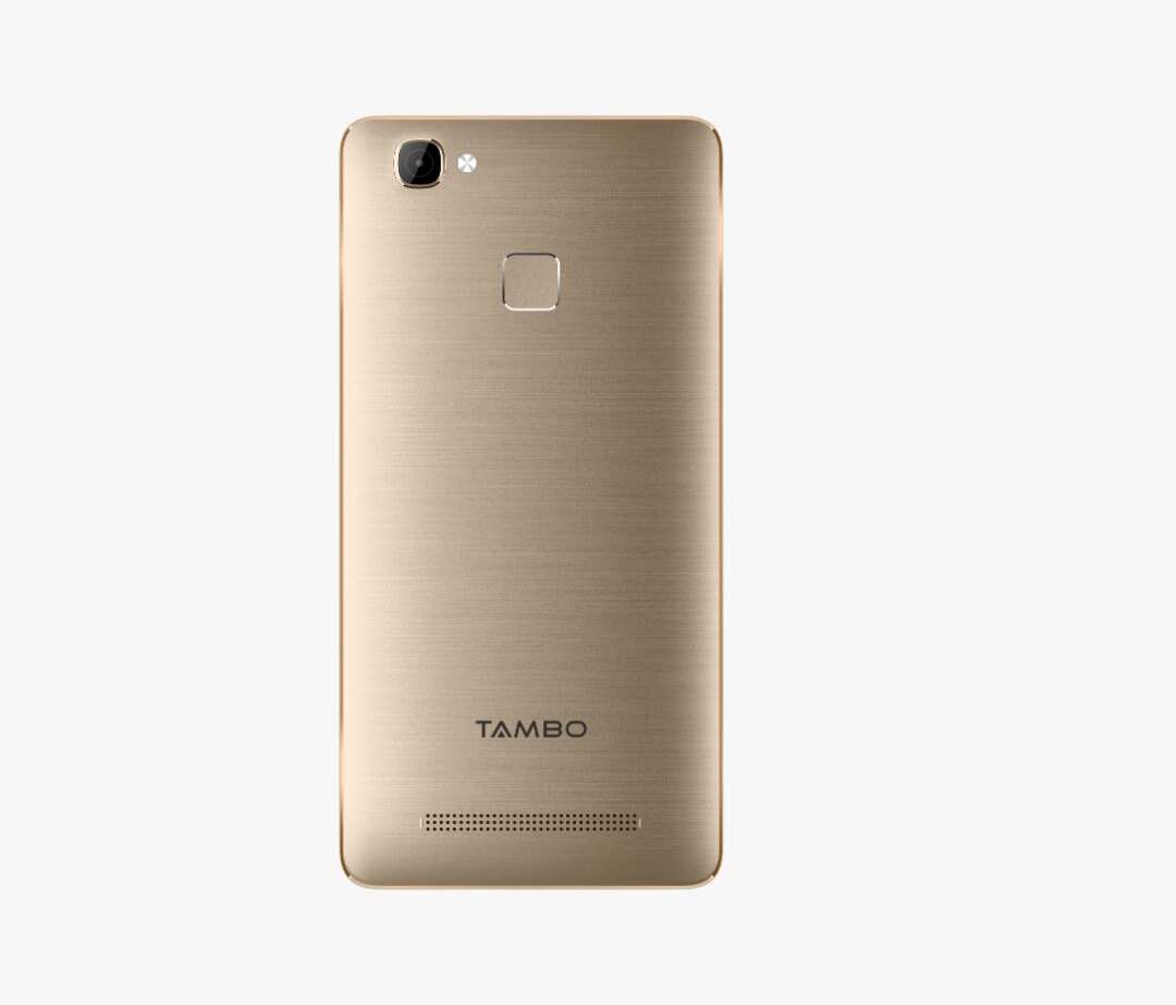 Brace up – TAMBO TA-50 is about to take over in its market segment Brace up – TAMBO TA-50 is about to take over in its market segment
