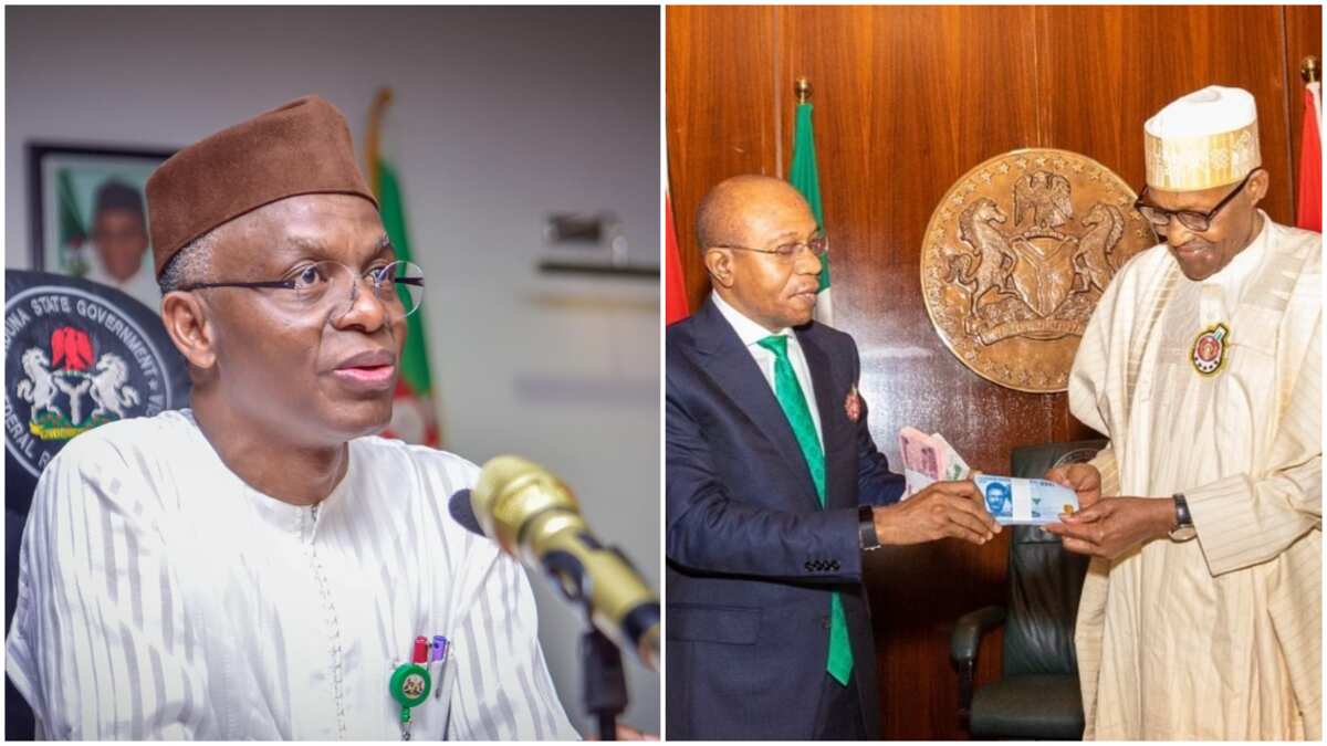 Naira Redesign Policy How Buhari S Chief Economic Adviser Disagrees