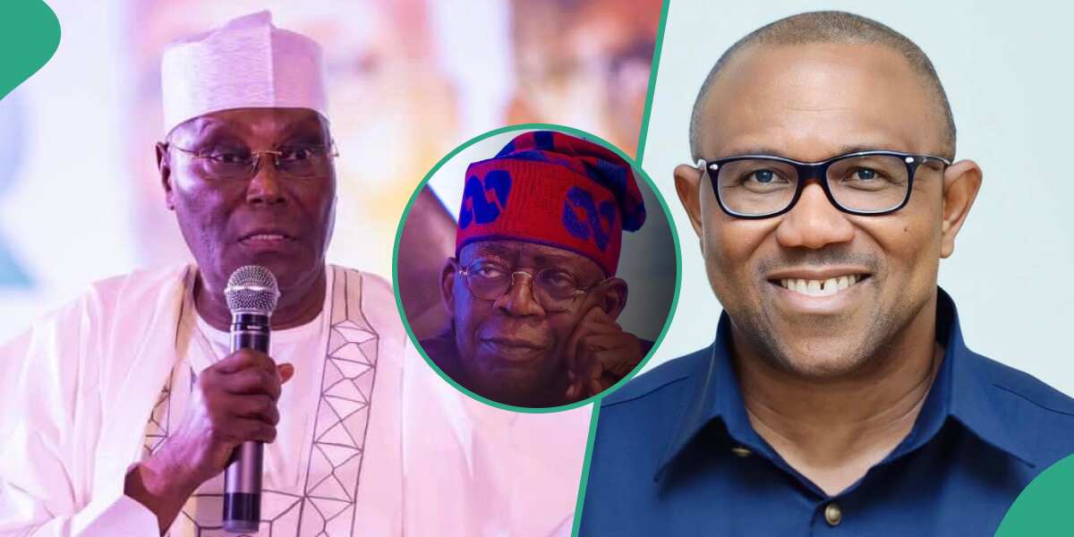 Atiku Peter Obi Vs Tinubu APC Chieftain Reveals Who Will Suffer Major