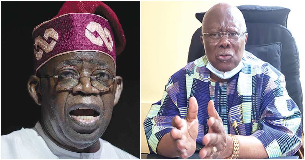 Why Tinubu Should Not Be Sworn In On May Bode George Speaks Legit Ng