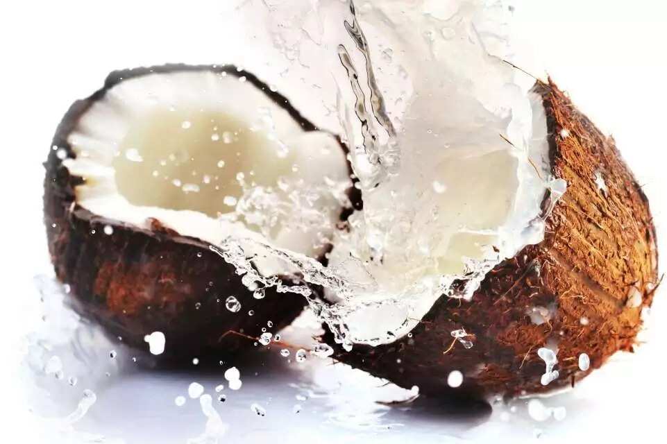 coconut nut coconut nut