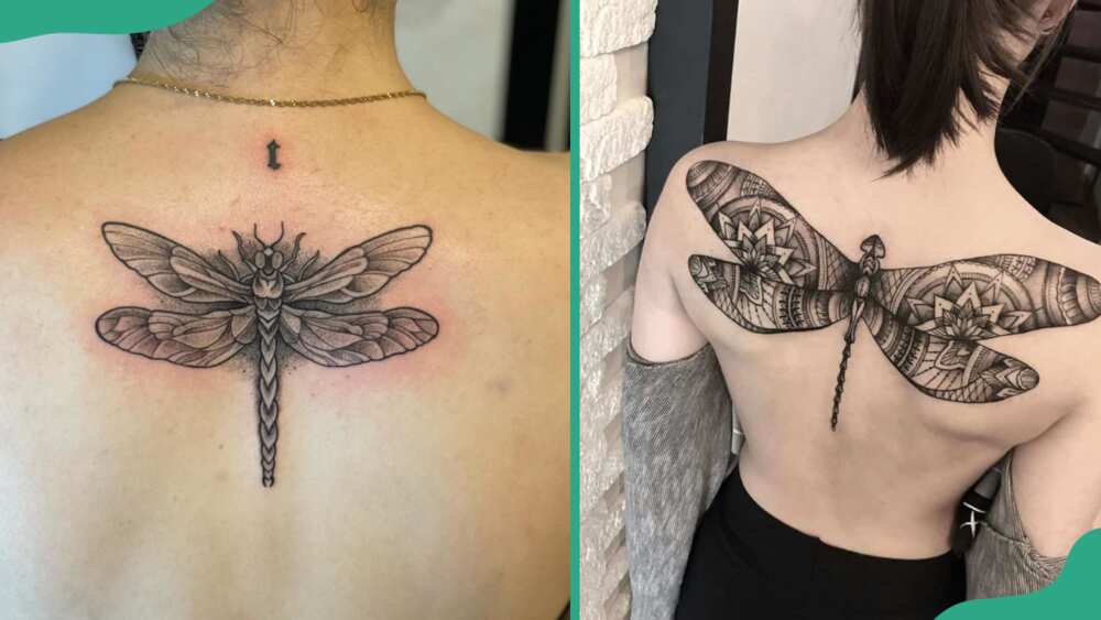Back dragonfly tattoos