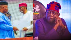 Ministerial list: Why Tinubu delayed Kano, Lagos, 9 other states as Senate commence screening Monday