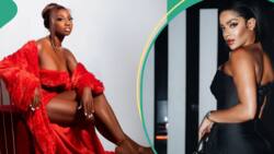 "If I were a viewer I would Never Vote for Venita": Doyin shares why she doesn't want her to win