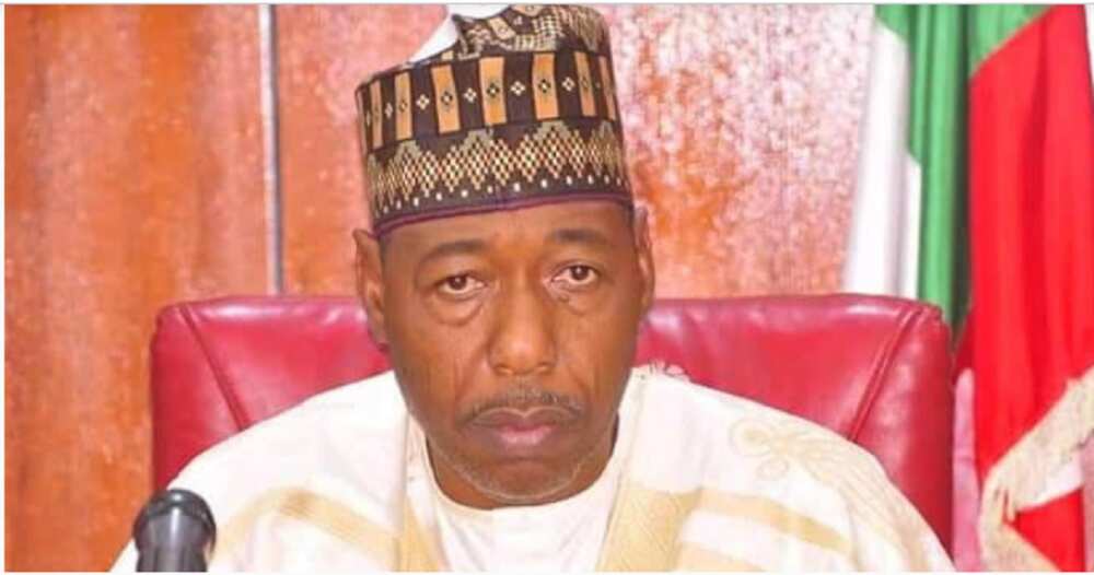 'Yan sanda zasu yi maganin duk ɓata garin da aka yi haya don yin zanga zanga - Zulum 'Yan sanda zasu yi maganin duk ɓata garin da aka yi haya don yin zanga zanga - Zulum
