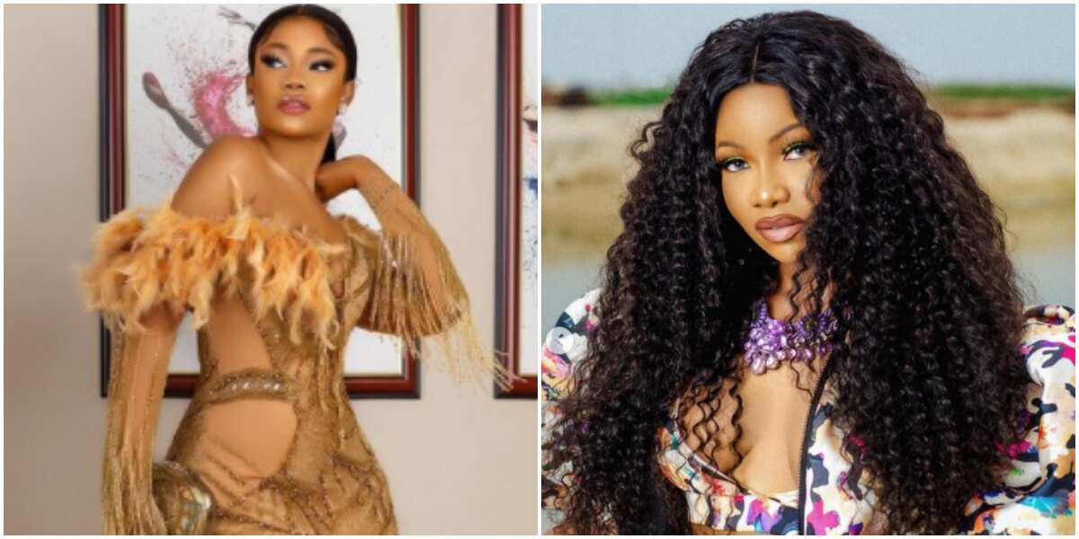 My market is expensive: BBNaija's Tacha tells men, advises them to go for their spec in new video