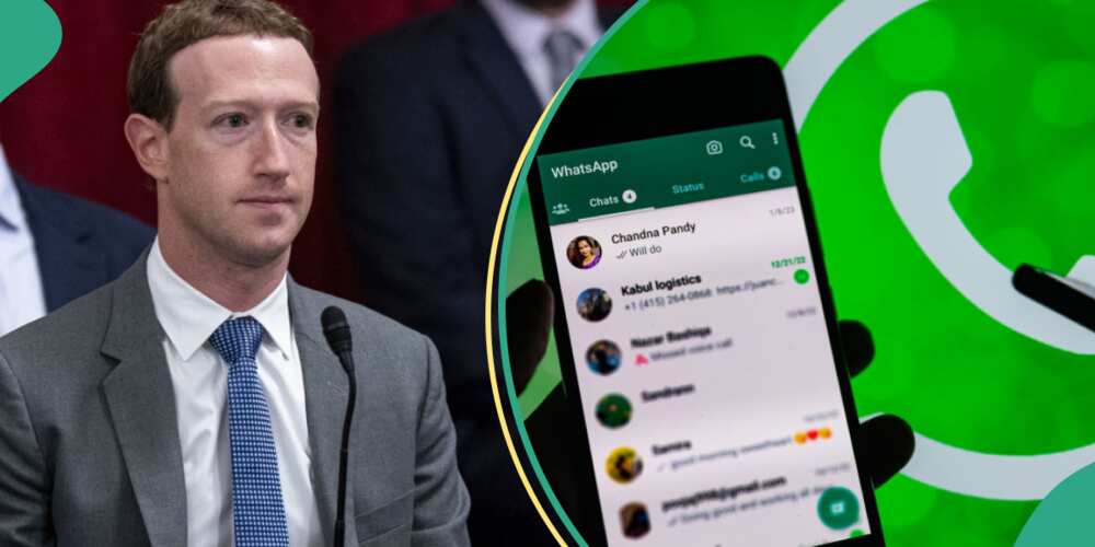 WhatsApp, Meta Verification WhatsApp, Meta Verification