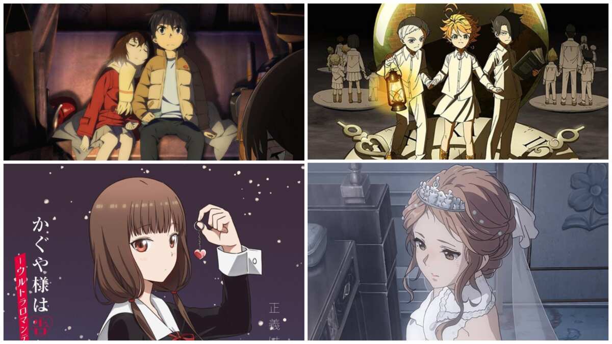25 best short anime series you can easily watch in one sitting - Legit.ng