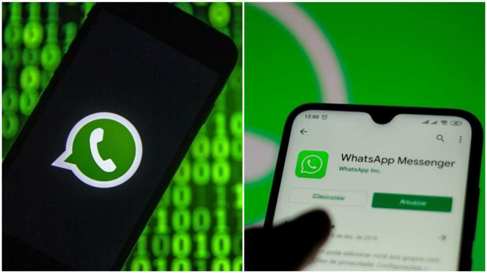 Zuckerberg, WhatsApp, Cloud API for Business customisation