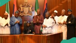 2024 appropriation bill: Why Tinubu's budget lacks strategic plan to improve Nigerians
