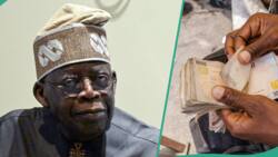 “Attention”: Tinubu's govt gives fresh instruction to applicants who wish to collect N50K FG fund
