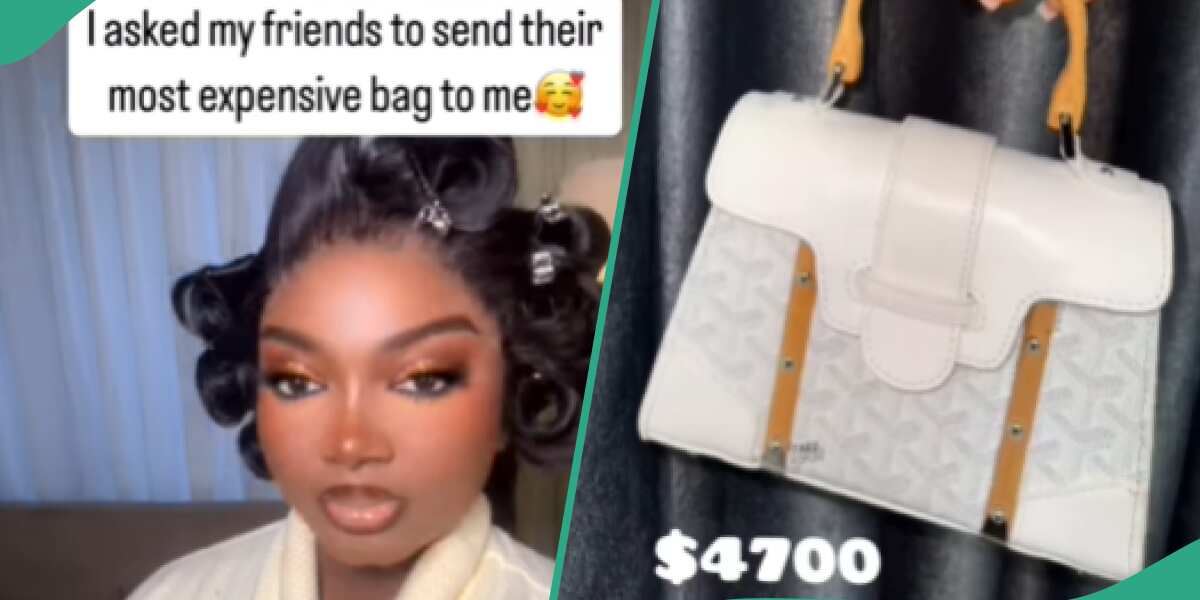 You will be amazed by the N190m luxurious bags Papaya Ex's friends displayed (video)