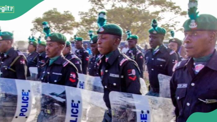 ‘Print your slip’: Kaduna police give fresh update on recruitment