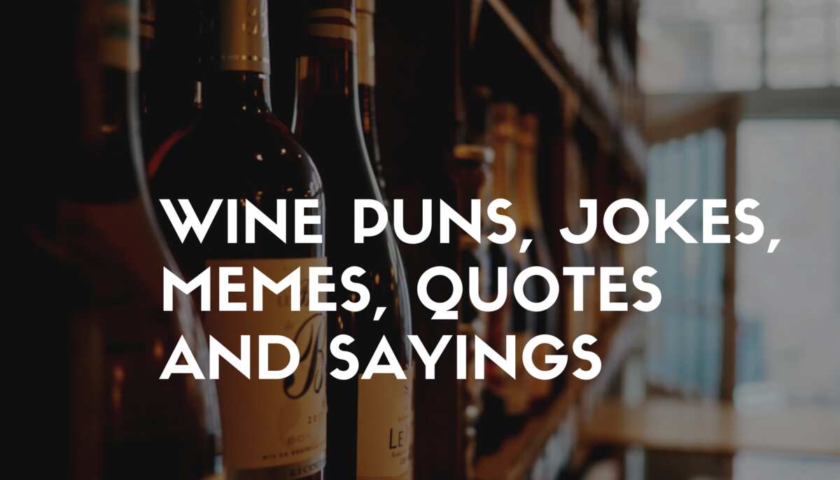 50 Ridiculous Wine Puns Jokes Memes Quotes And Sayings Legit Ng