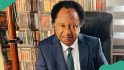 Shehu Sani speaks on 2 northern states that are protected from terrorists, bandits attacks