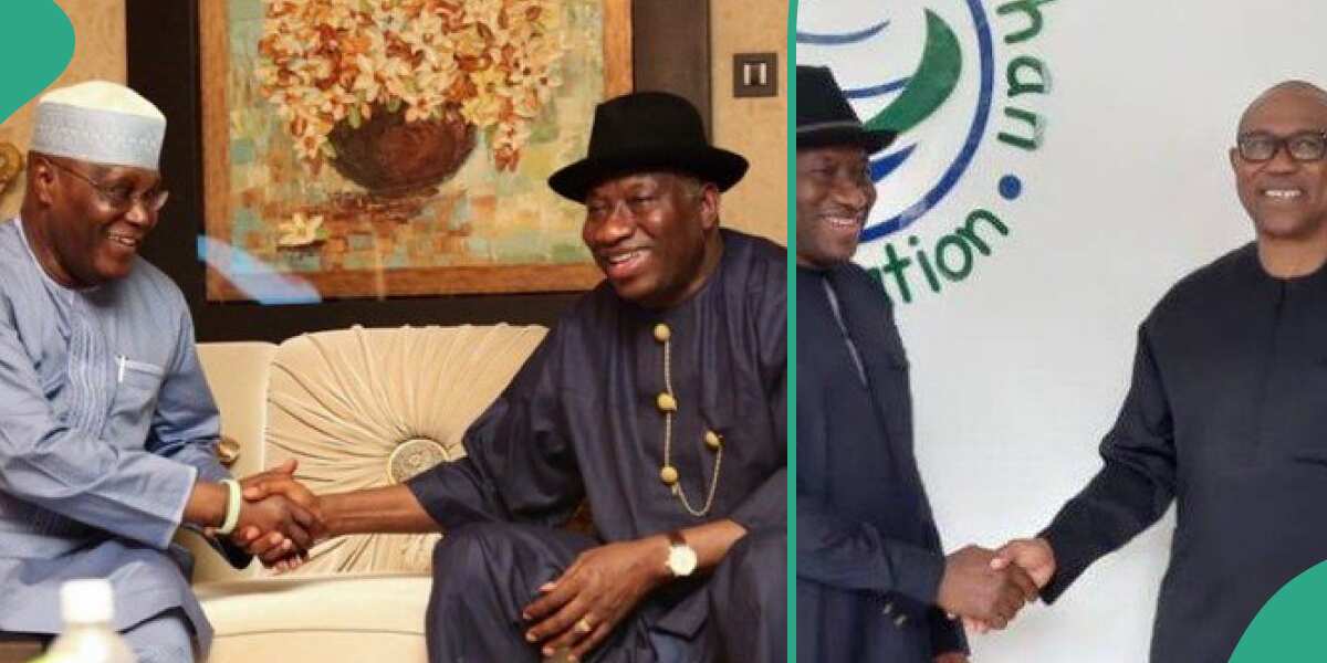 Top Nigerian politicians including Peter Obi, Atiku celebrate Jonathan at 66