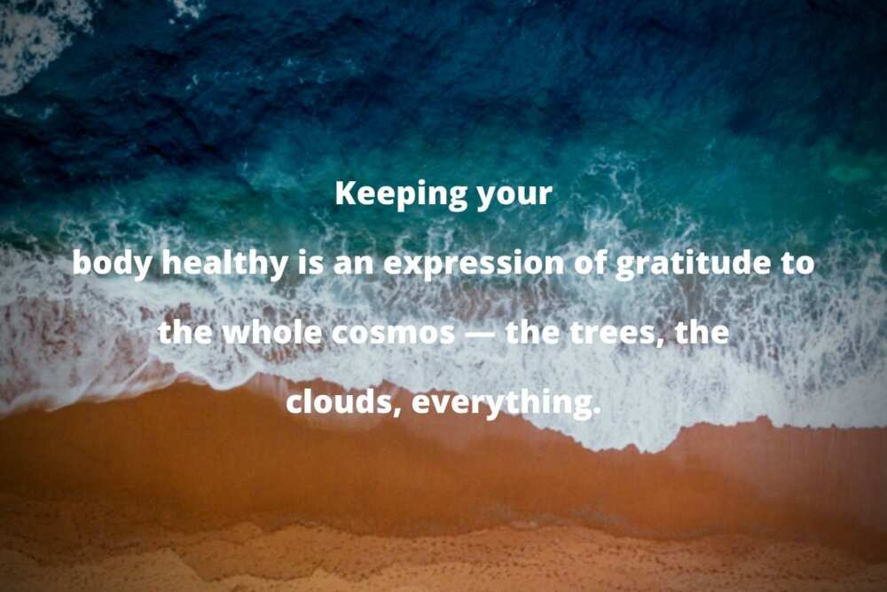 Thich Nhat Hanh health quotes Thich Nhat Hanh health quotes