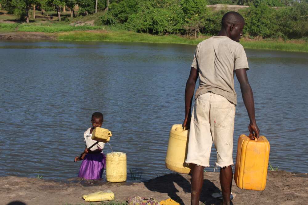10 points on importance of water 10 points on importance of water