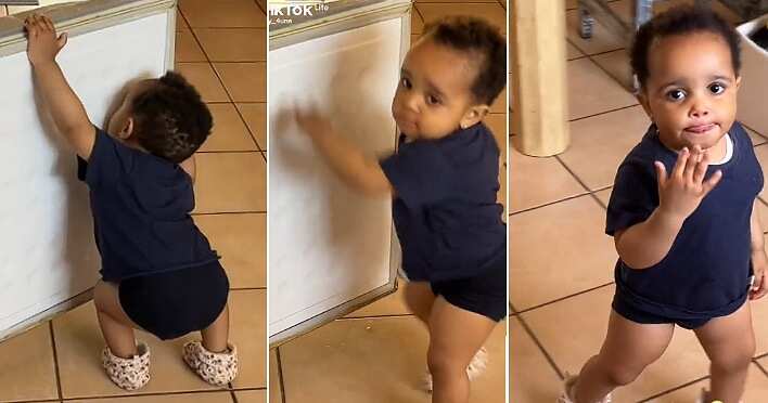 Watch hilarious video of a little girl's reaction after her mum caught her licking fridge