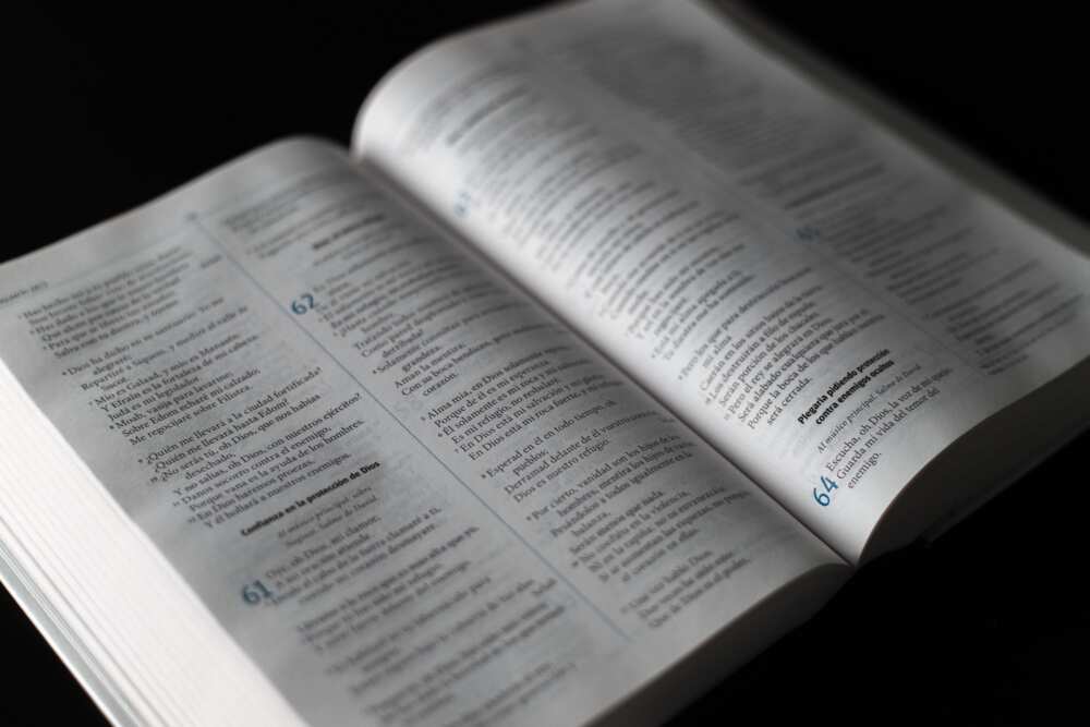 longest and shortest verse in the Bible longest and shortest verse in the Bible