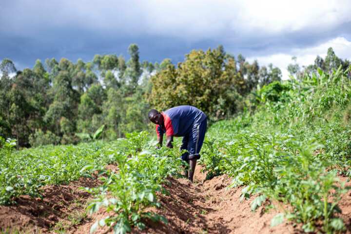 5-types-of-land-tenure-system-in-nigeria-complete-guide-legit-ng