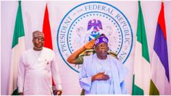 BREAKING: Senate grants Tinubu’s request to appoint 20 special advisers