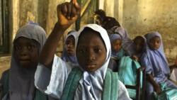 "Fear of Boko Haram attacks, banditry, others prevent girls from going to school," new report says