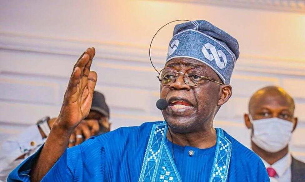 Mutane da kungiyoyin dake tallafawa tafiyar Tinubu