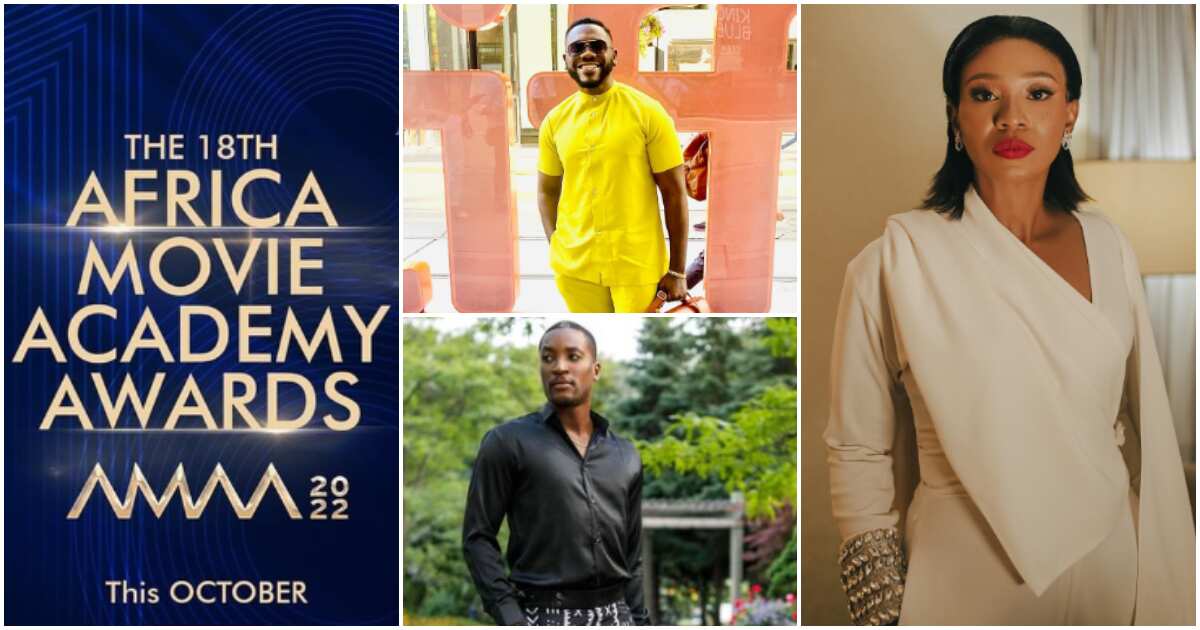 “AMAA Awards 2022 Is Not a Popularity Contest, It Is About ...