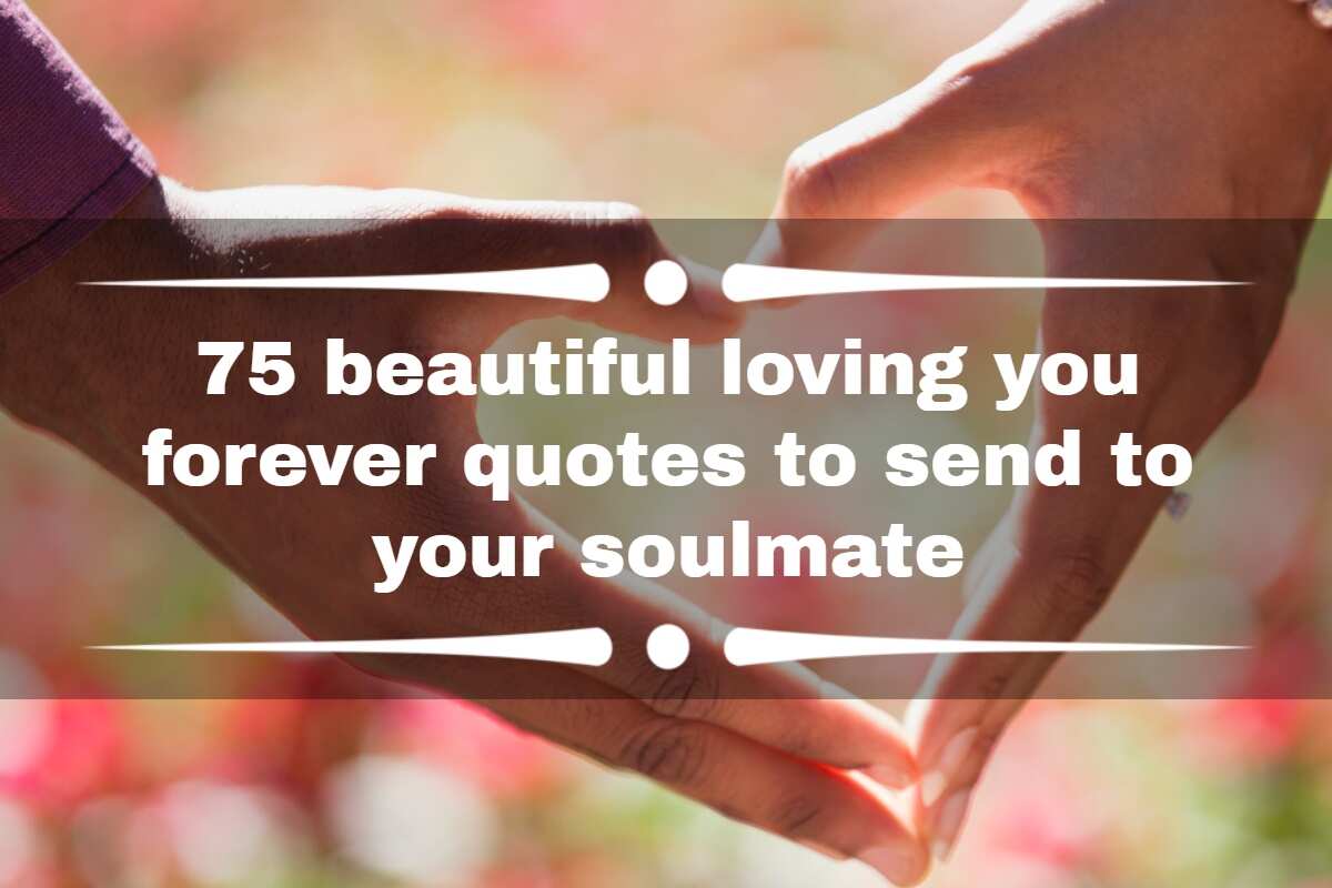 75 beautiful loving you forever quotes to send to your soulmate 