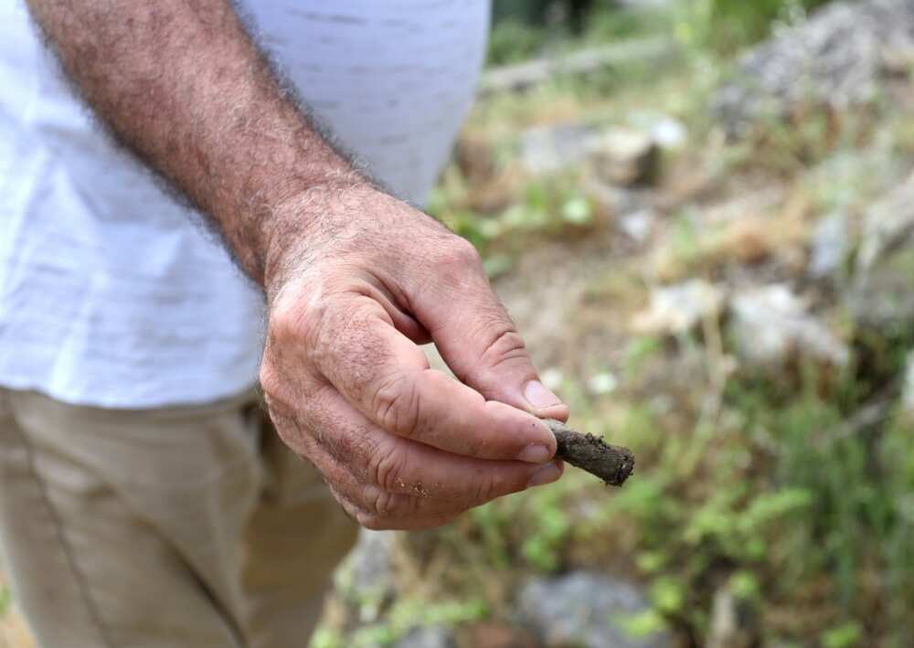 Various treasures such as coins have been unearthed Various treasures such as coins have been unearthed