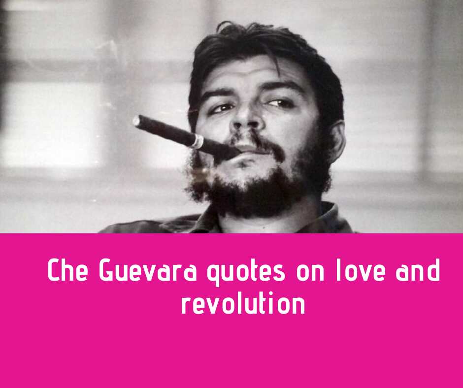 che guevara revolutionary love