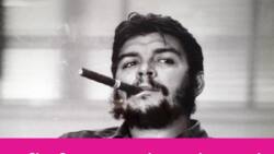 Best Che Guevara quotes on love and revolution