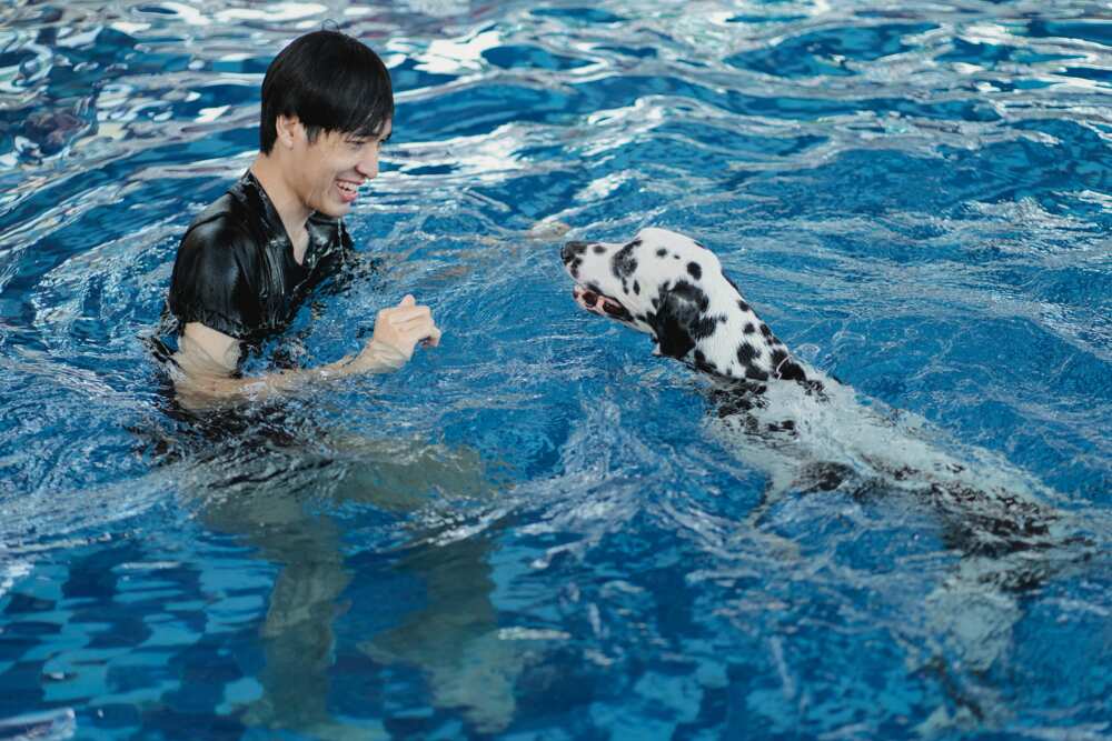 A man playing with a dog in a swimming pool