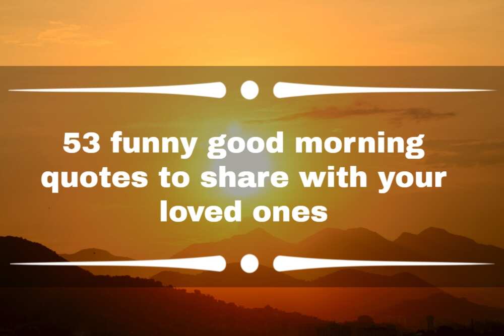 53-funny-good-morning-quotes-to-share-with-your-loved-ones-legit-ng