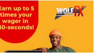 Nigerian Bettors Set to Win $1,000,000 with New Betting Platform Wolf Fx