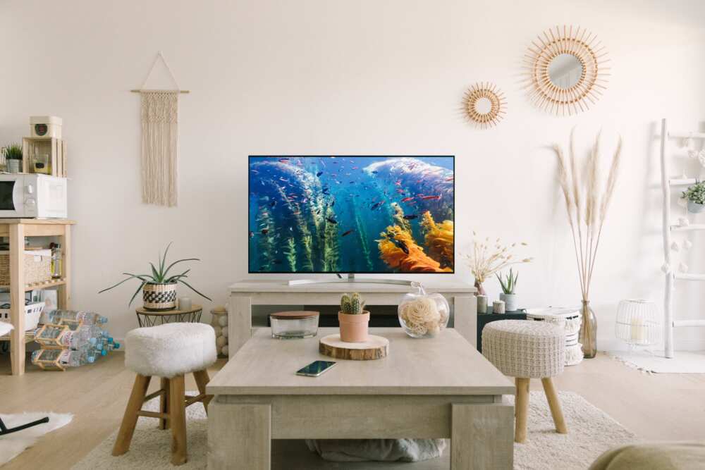 DStv Compact channels DStv Compact channels