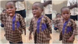 "English na your mate?" Reactions as Nigerian kid struggles to speak English, mixes Yoruba instead, goes viral online