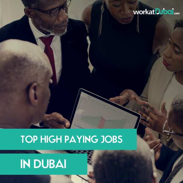 The top 5 highest paying jobs in Dubai