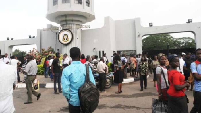 Closely followed by UNN, new report ranks University of Ibadan 1172 in the world, number 1 in Nigeria