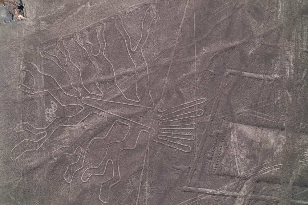 The aqueducts are believed to have been built by the same people responsible for Peru's famous Nazca lines -- a series of geometric and animal figures carved into the desert which can only be appreciated from the sky