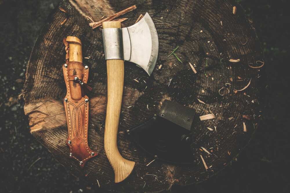 origin of cultism in nigeria origin of cultism in nigeria