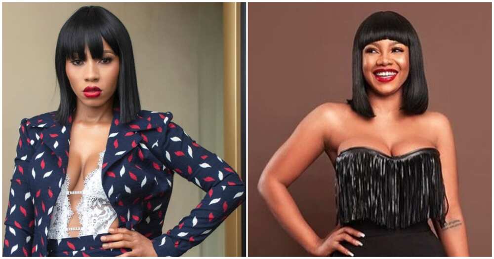 BBNaija 2019: Mercy and Tacha reconciles