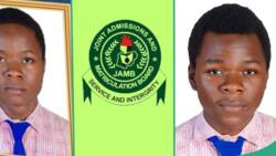 "Wonderful UTME results": Twin brothers write JAMB examination together, get two different scores