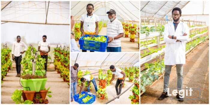 Samson Ogbole, soilless farming