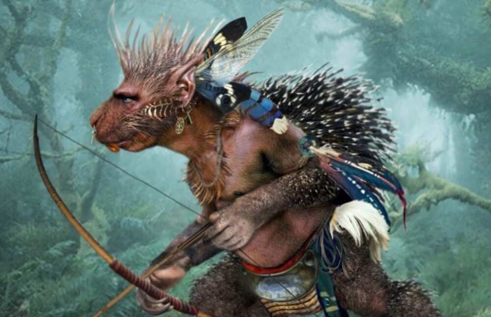 Pukwudgie Pukwudgie