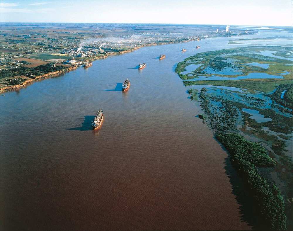 What is the longest river in the world