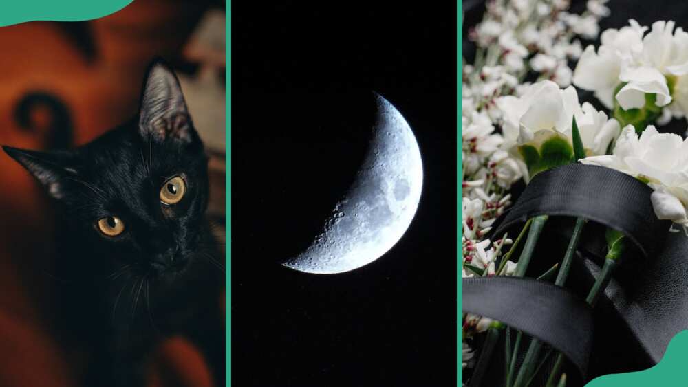 symbols of death: black cat, crescent moon, and funeral flowers